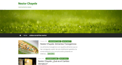 Desktop Screenshot of nestorchayele.com